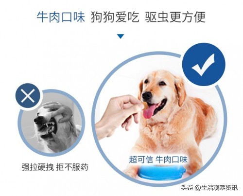 狗狗大宠爱内外一体驱虫药靠谱吗,爱沃克驱虫药好还是大宠爱好