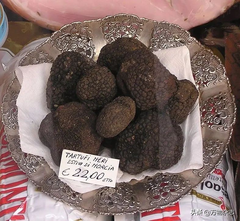 玉米坏了煮了会怎么样,玉米坏掉了