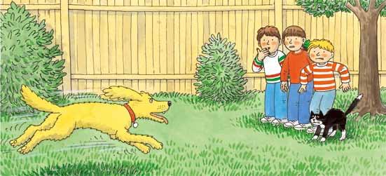 典范英语绘本怎么样,好的儿童英语绘本有哪些