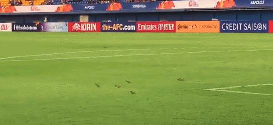 中甲球队2025解散风险,中甲足协处理结果