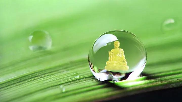 富氢水杯注意事项有哪些,买水杯注意事项