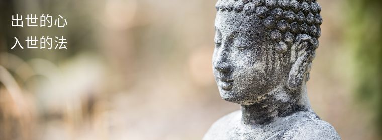 汤臣倍健财务风险研究背景,汤臣倍健存在哪些潜在风险