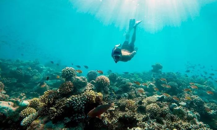 南阿里环礁,丽世岛度假村