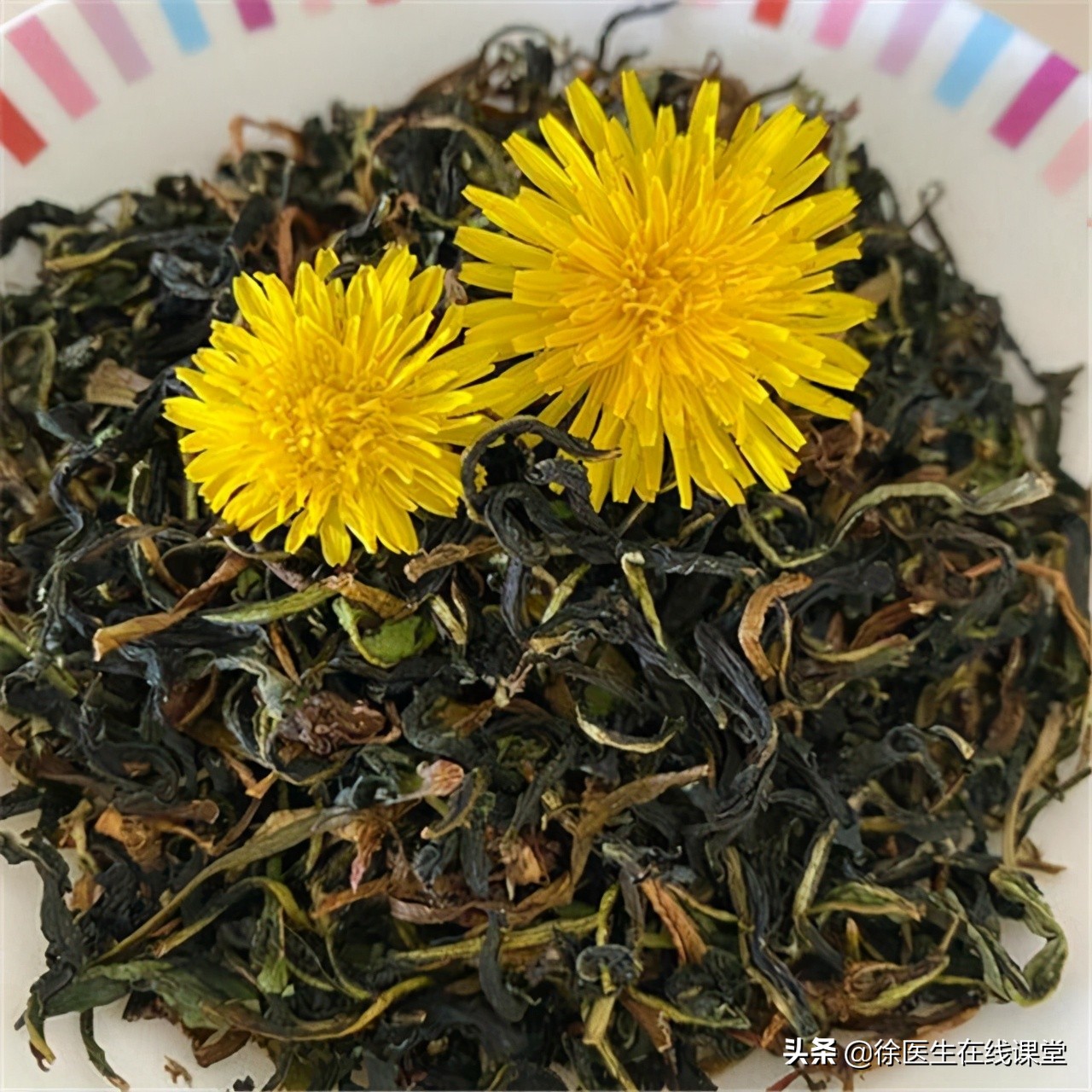 乳腺结节喝蒲公英真的消除了,蒲公英水喝多久对乳腺结节见效