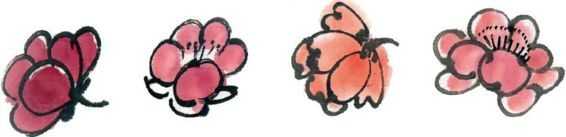 零基础梅花花朵入门画法,零基础学国画梅花入门步骤