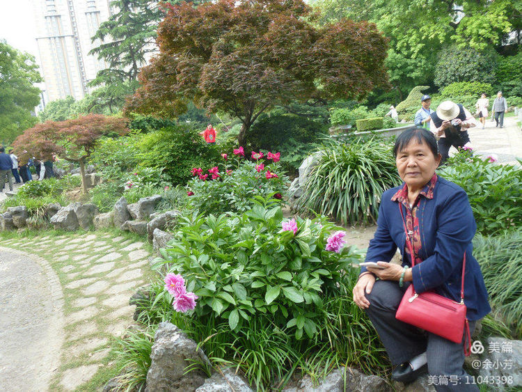 上海中山公园公寓,上海中山公园游玩攻略