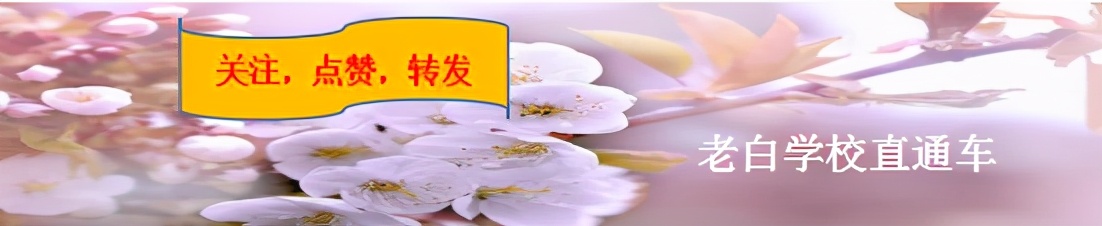 24年高考作文范文,2021高考作文范文全国1卷