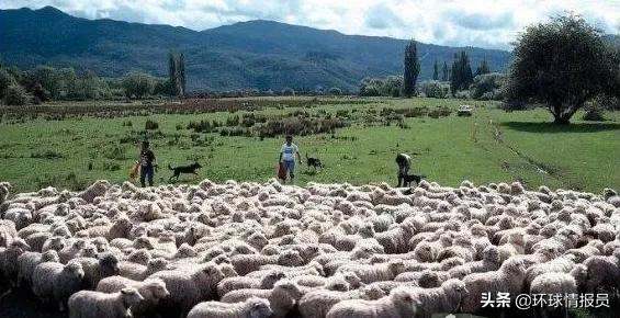巴布亚新几内亚为何脱离澳大利亚,巴布亚新几内亚与澳大利亚历史