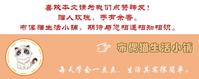 适合学生党的平价彩妆大合集,适合新手的平价彩妆套装推荐女生