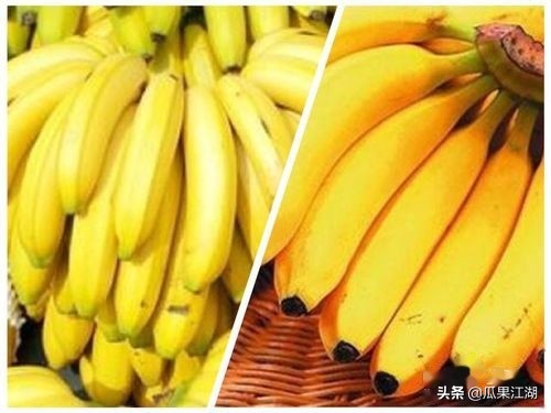 猕猴桃奇异果菠萝凤梨,菠萝与凤梨樱桃与车厘子有何区别