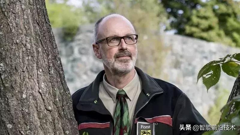 神奇“树联网”，地球本身是一个巨大的超生物体