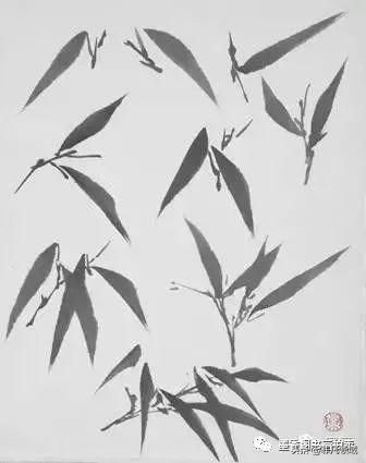 国画教程竹子的写意画法,国画写意竹子画法步骤
