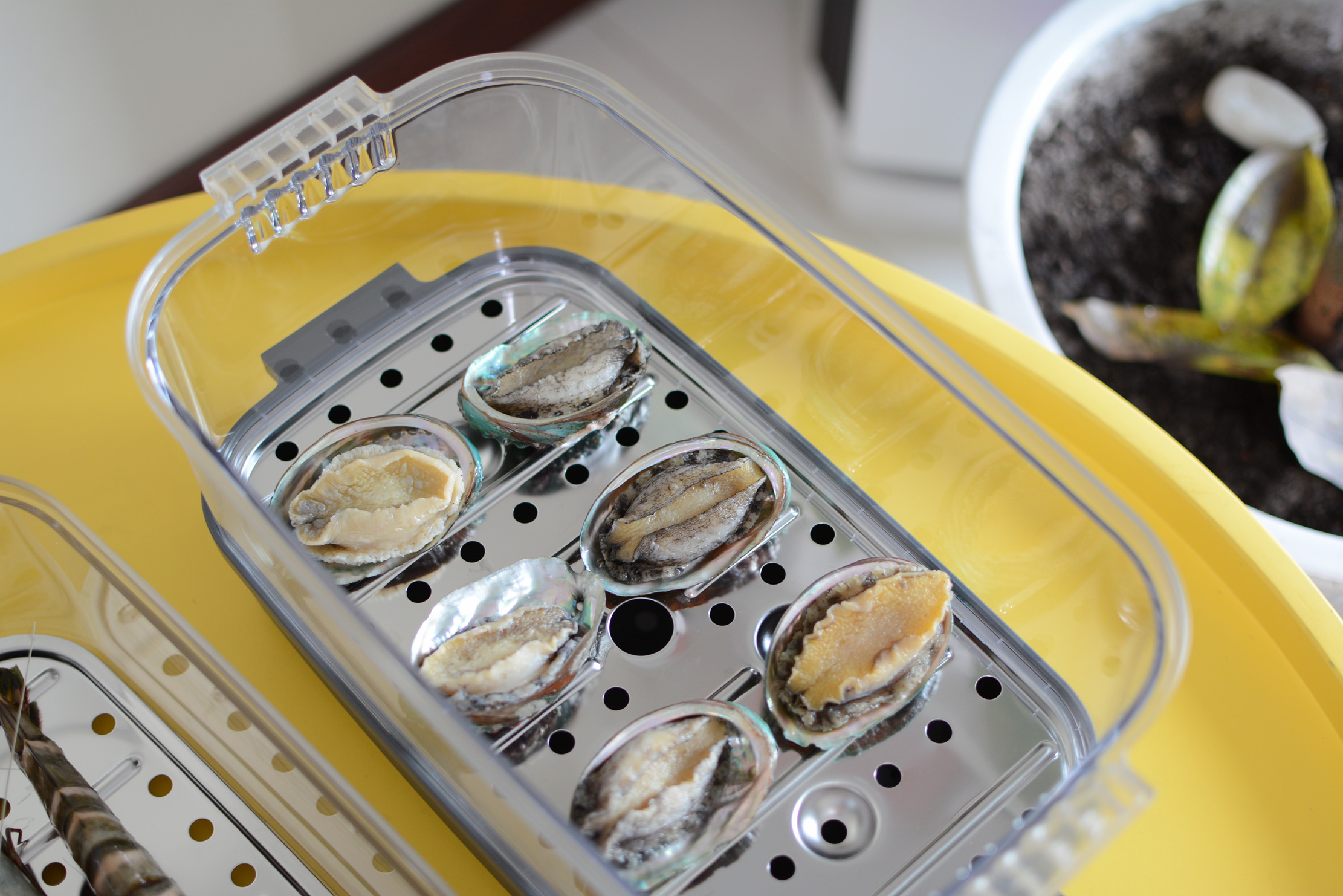 九阳免洗豆浆机k7测评,九阳不用手洗豆浆机k2350测评