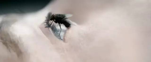 2019纭洏鎺ㄨ崘,2019纭洏鎺ㄨ崘1t