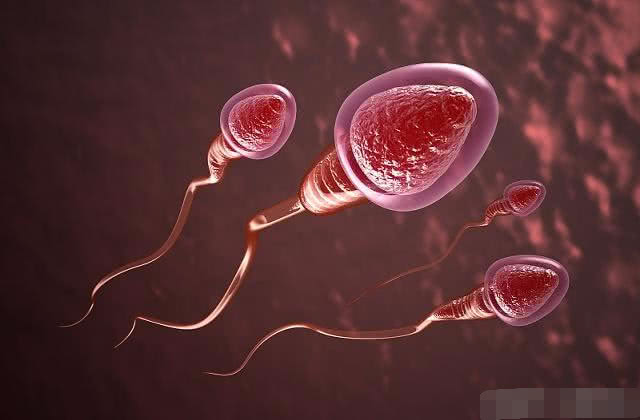 那些没受孕的“小蝌蚪”，最后都去了哪儿？看完后你会偷着笑！