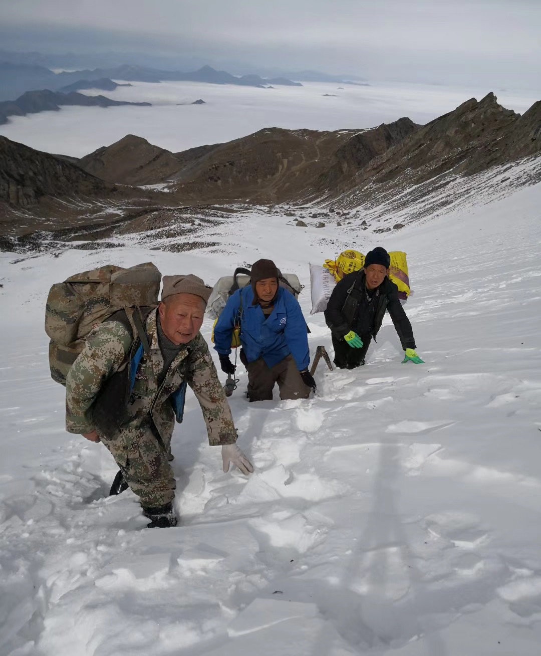 支持禁燃烟花爆竹吗,全面禁止野味