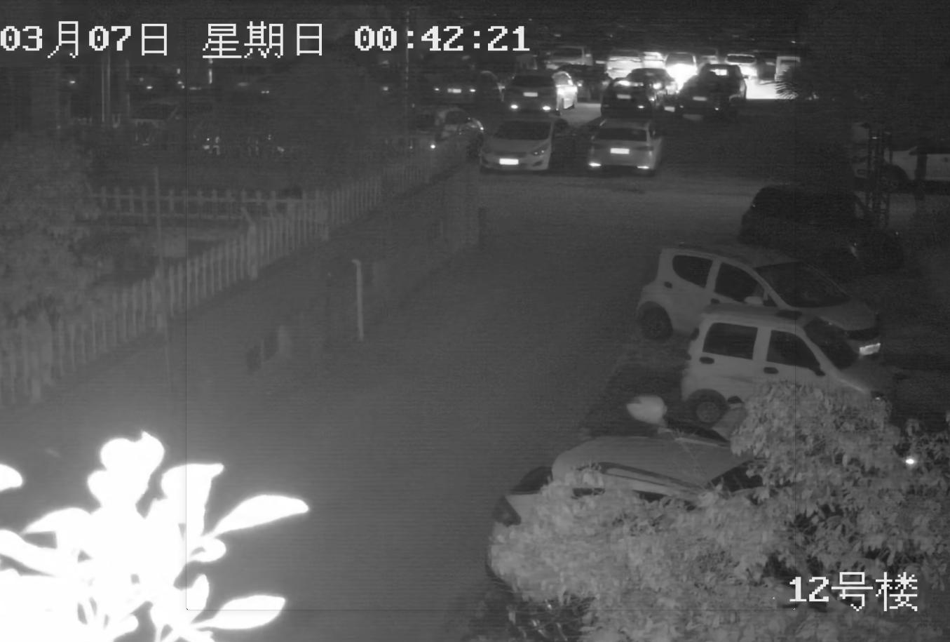 狗狗丢失找回技巧,狗狗丢失后如何尽快找回