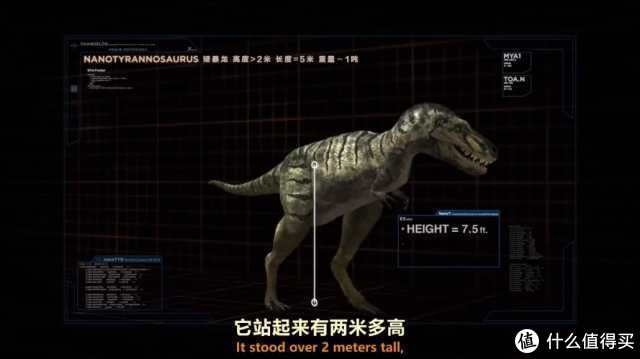 十大神仙网站,十个神仙网站排行榜