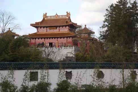 终于拍到熊猫交配的画面,荷兰人民感动疯了!果然国宝干啥都焦点