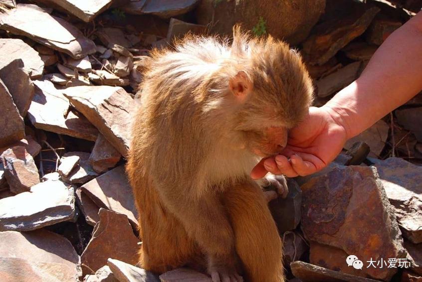 盘点北京适合遛娃的六个地方,周末免费遛娃好去处北京