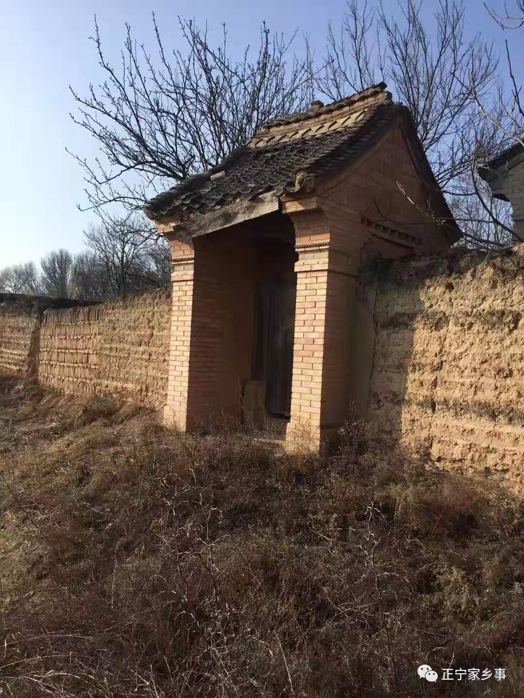 疫情期间蜗居,疫情期间随笔