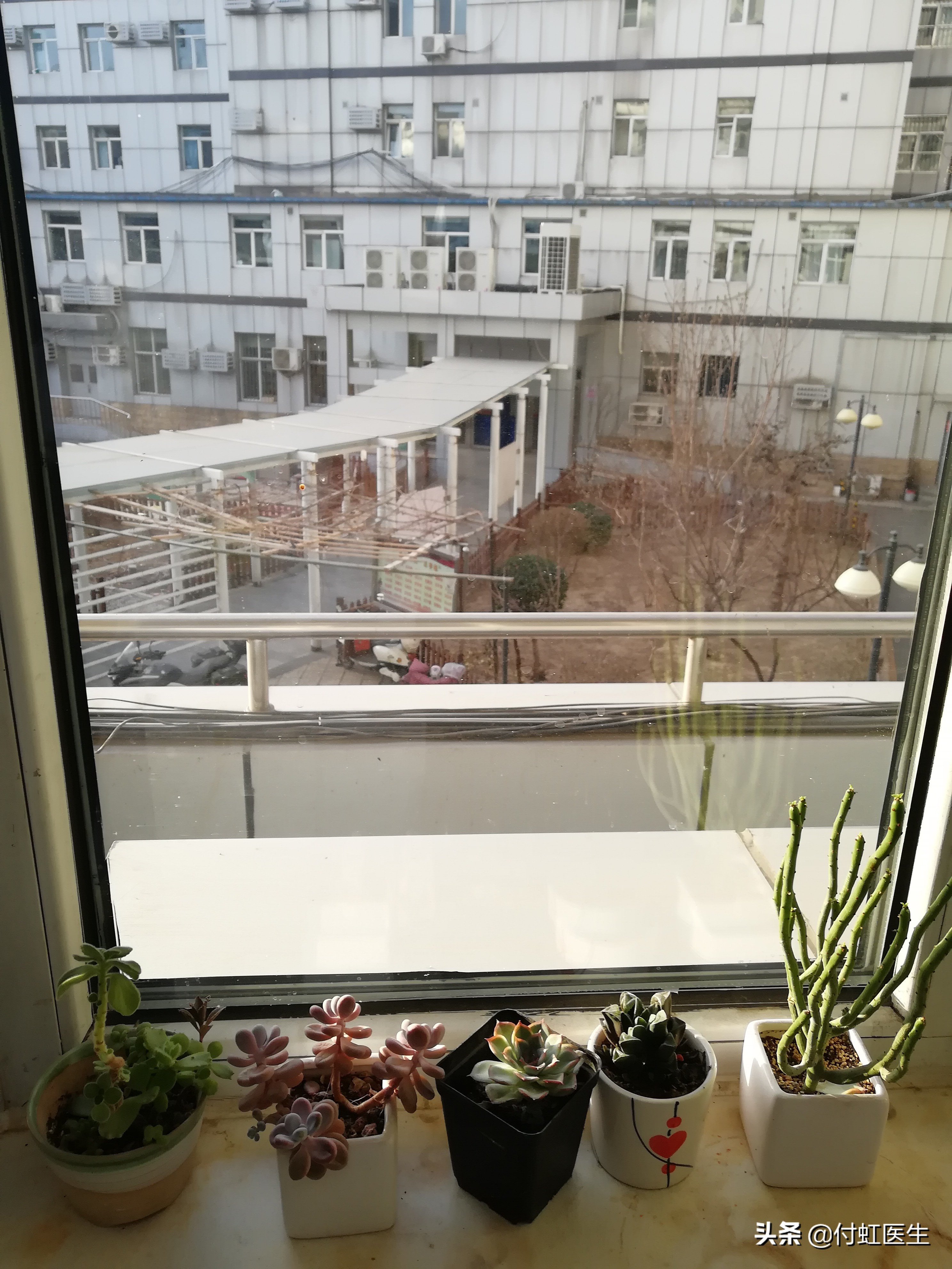 有炎症做了手术会炎症扩散吗,私部炎症迟迟不治疗会怎么样