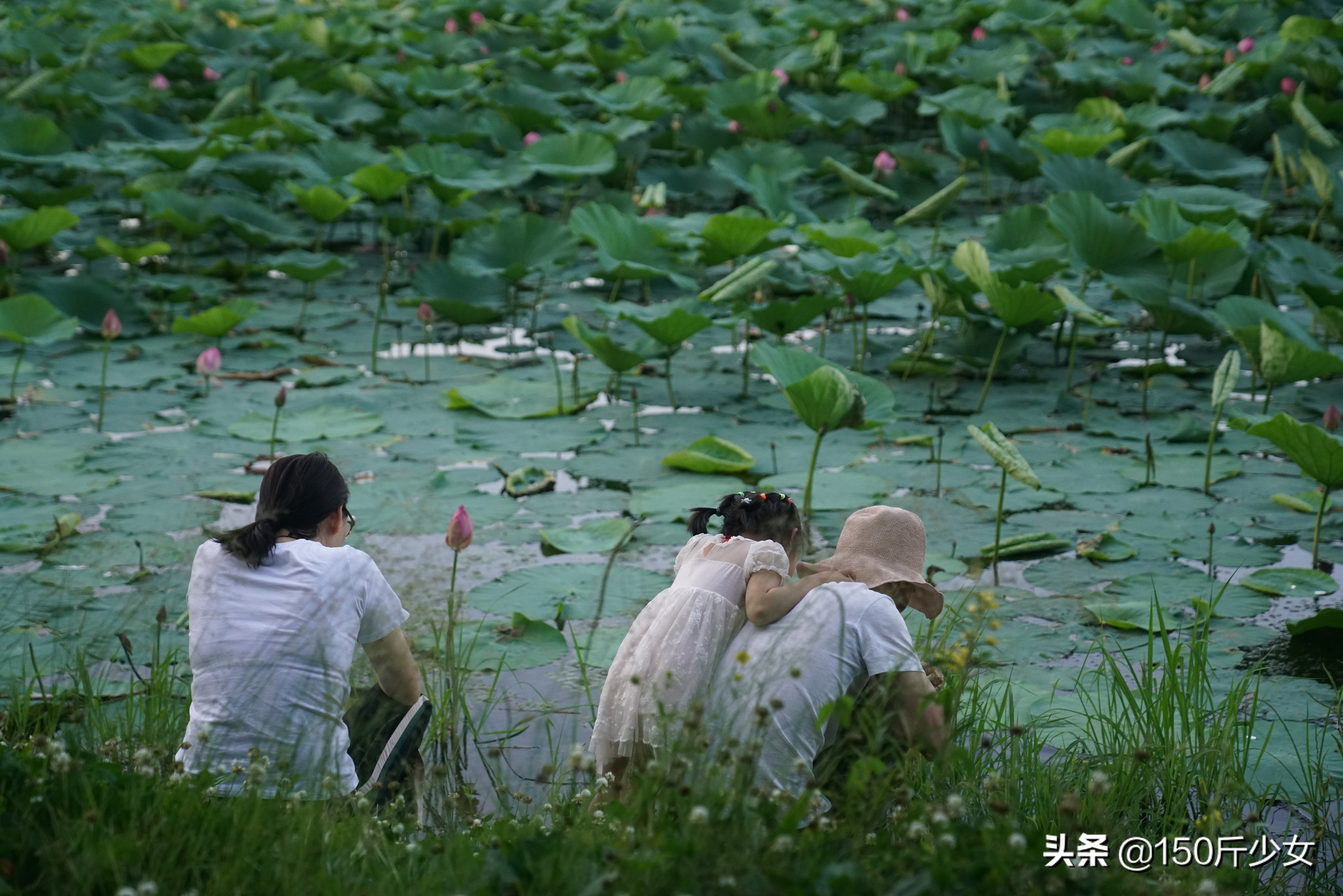 吉林旅游攻略自由行三天两晚住宿,吉林旅游自由行攻略图片大全