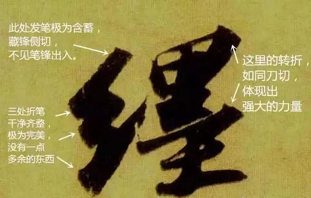 先把基础知识学好,先把基础练好再练技术动作