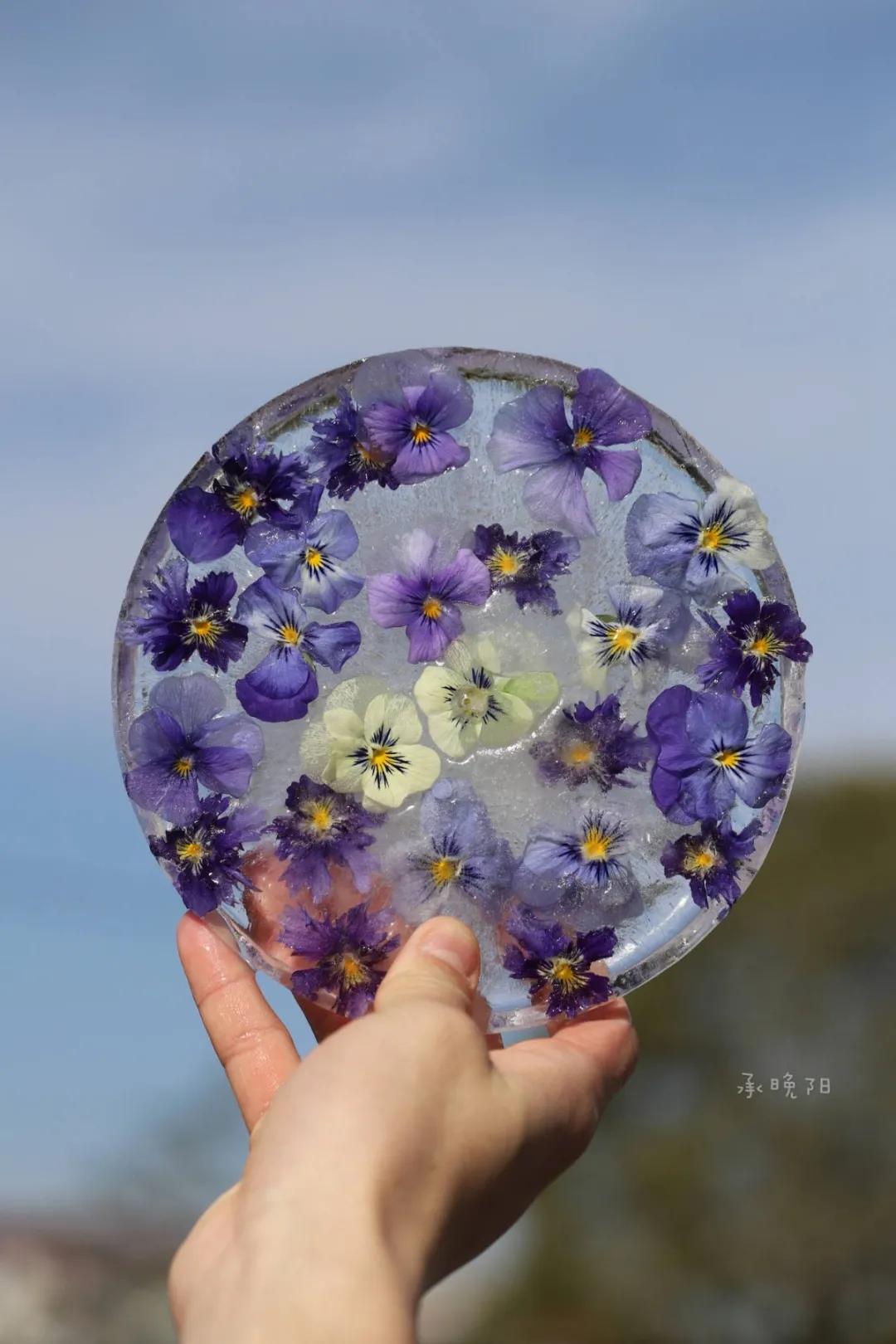 寒潮来袭，你的阳台也能开出这样的“水晶花”