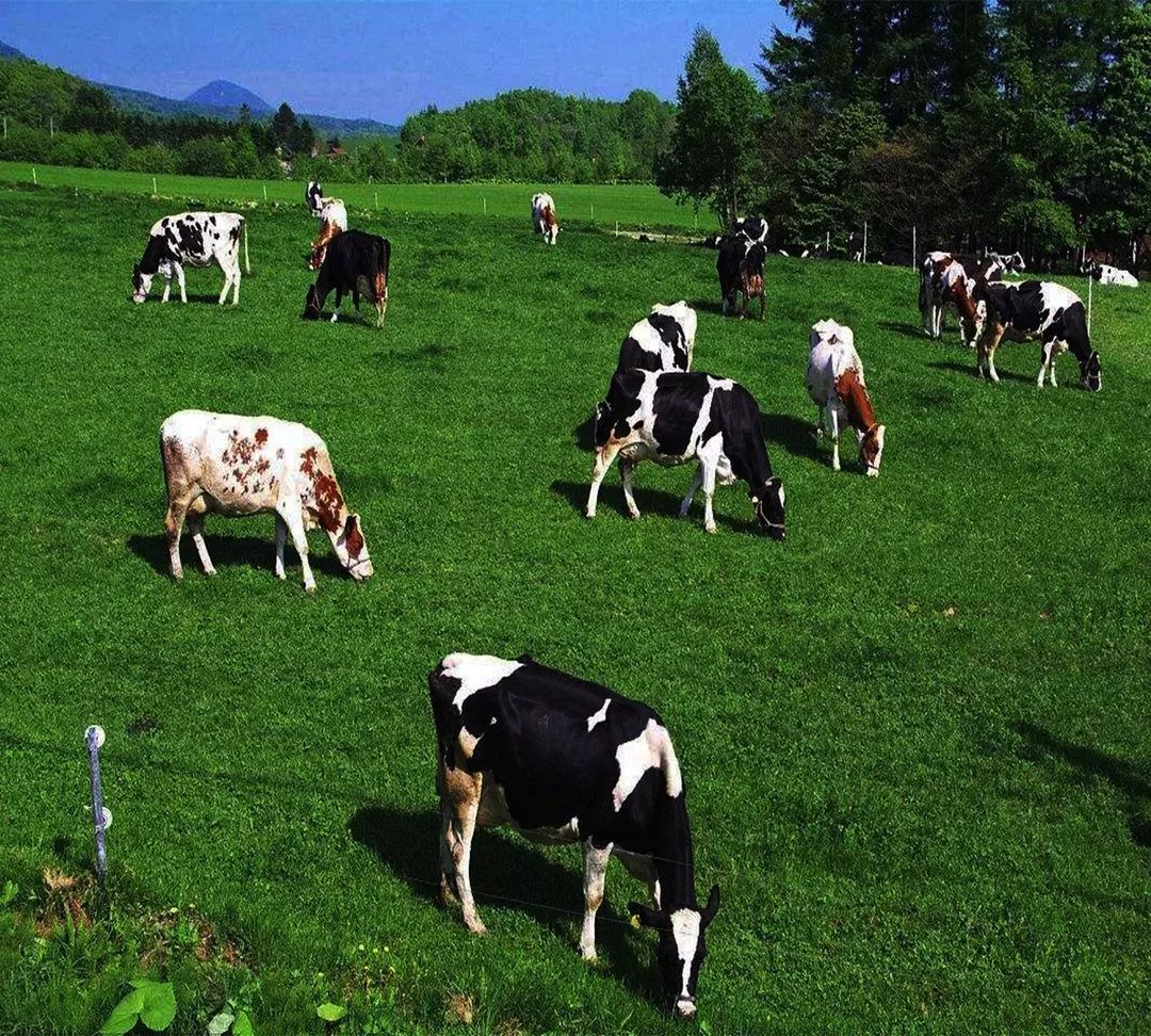 日本北海道6日游攻略,日本去北海道旅游攻略最新