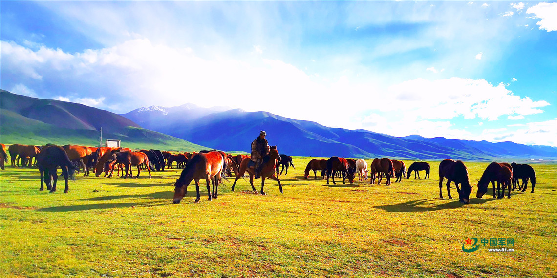 雪山见证，这是草原九班的“牧马青春”