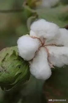 好用的化妆海棉面料推荐,化妆用的海绵叫什么