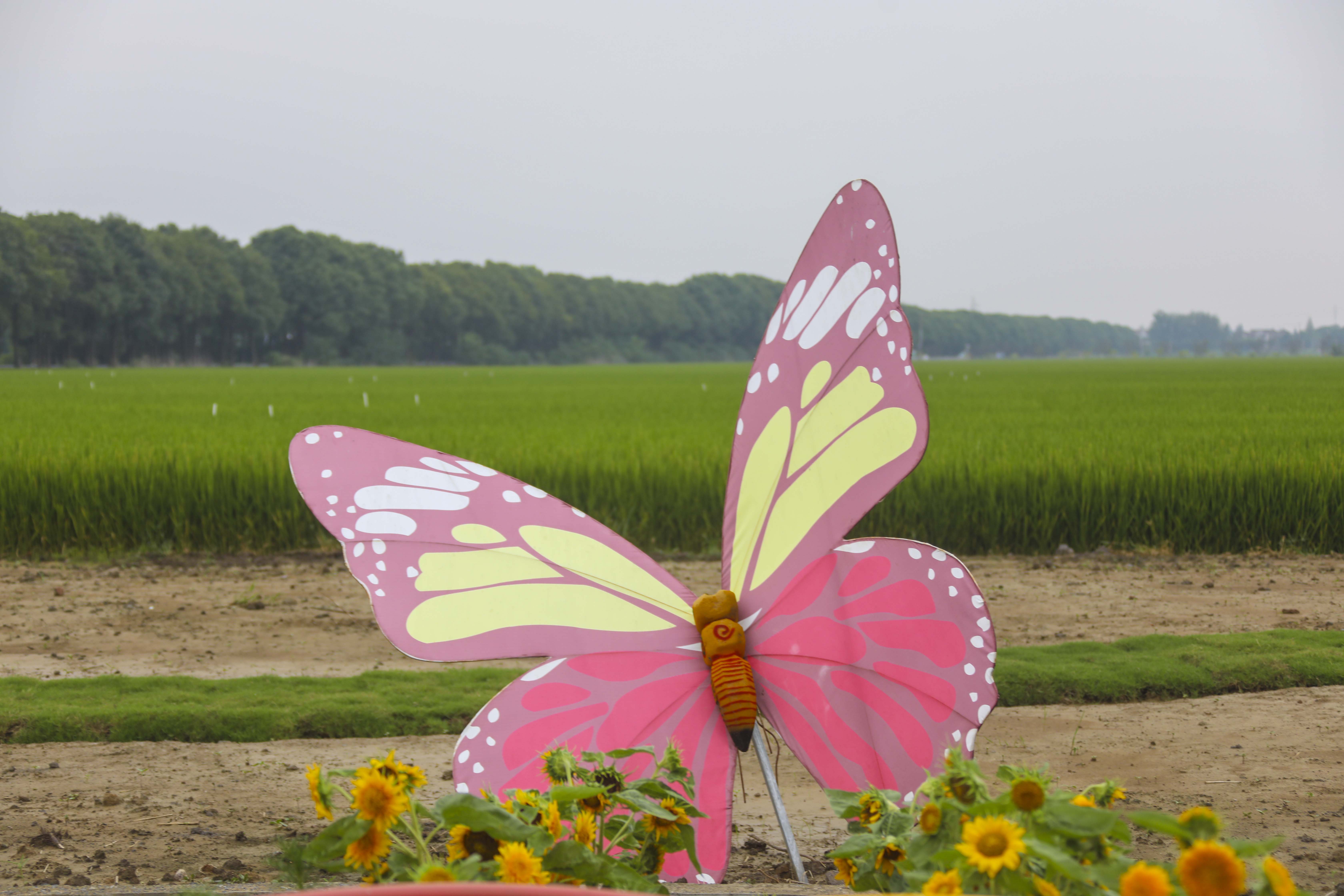 良田沃野蝶飞蜂拥，溧阳网红庆丰村的C位出道之路，果然迷人诱人