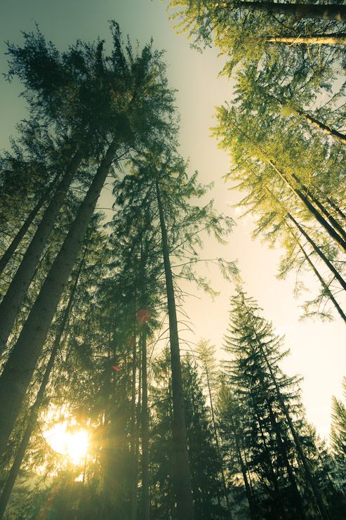 高二这一年有多重要,决定高考成败的是高二还是高三