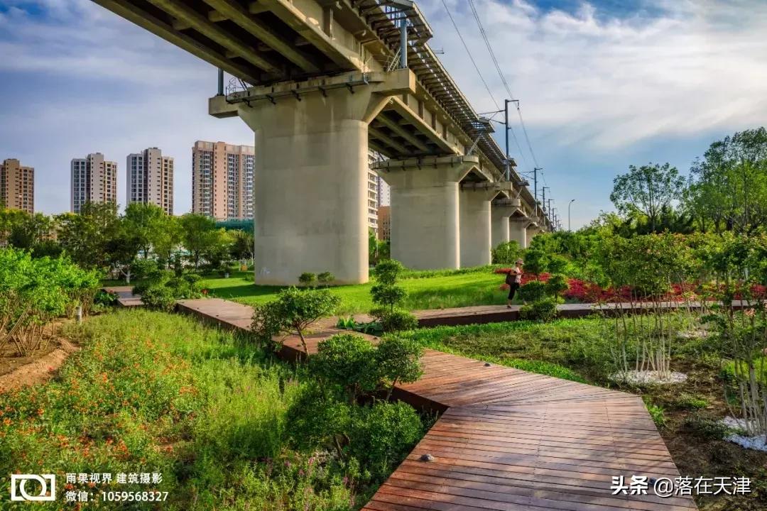 天津郊游免费最佳景点,天津免费开放的景点