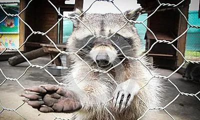 这么冷的冷知识你知道多少,关于历史的冷知识你知道几个