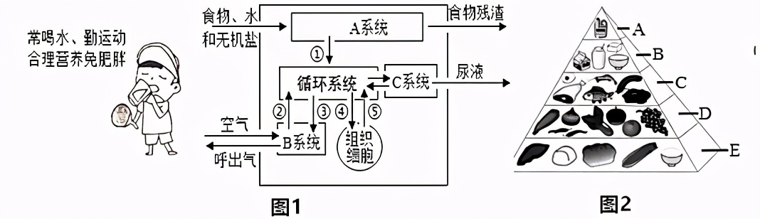 临沂市生物实验操作考试视频,临沂物理实验操作考试试题