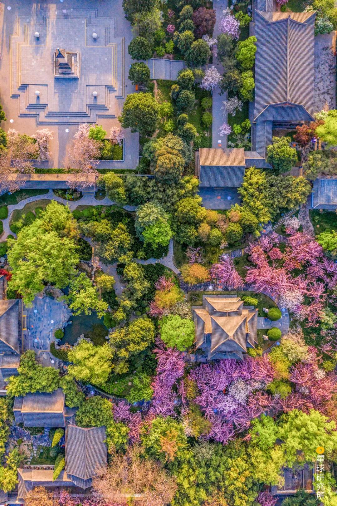 长安长安郑钧,长安长安歌曲郑钧