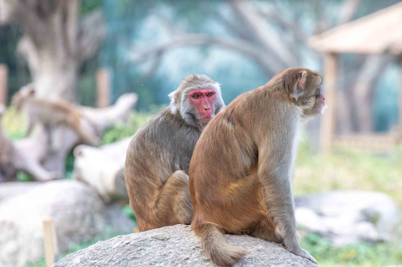 寒假亲子游推荐广东,广东自驾亲子游十大排名