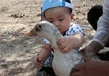 怀孕了能不能养宠物狗狗,怀孕为什么不能养狗狗