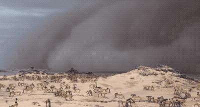 一群机器狗表演,一群机器狗视频