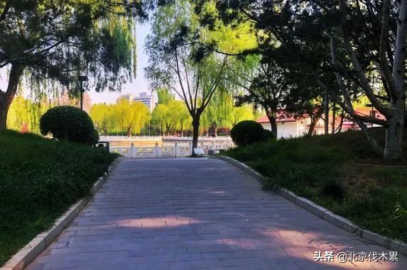 芒种旅游景点推荐,芒种至仲夏节气