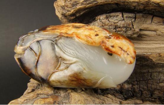 籽玉造假,被假货骗教你肉眼分辨翡翠真假