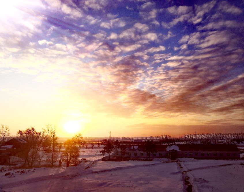 马桶的十大事件,对马桶吐槽