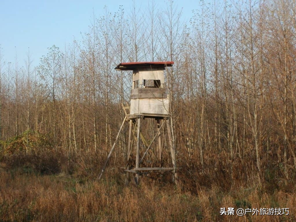 鍥藉鐙╃寧閲庣尓,缇庡浗鎹曠寧閲庣尓