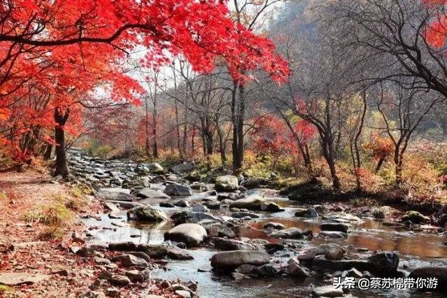 本溪赏枫攻略,本溪赏枫景区