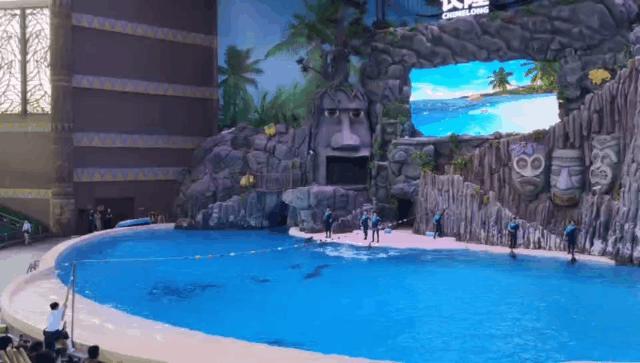 来一场说走就走的旅行珠海长隆,广东长隆及珠海长隆旅游攻略