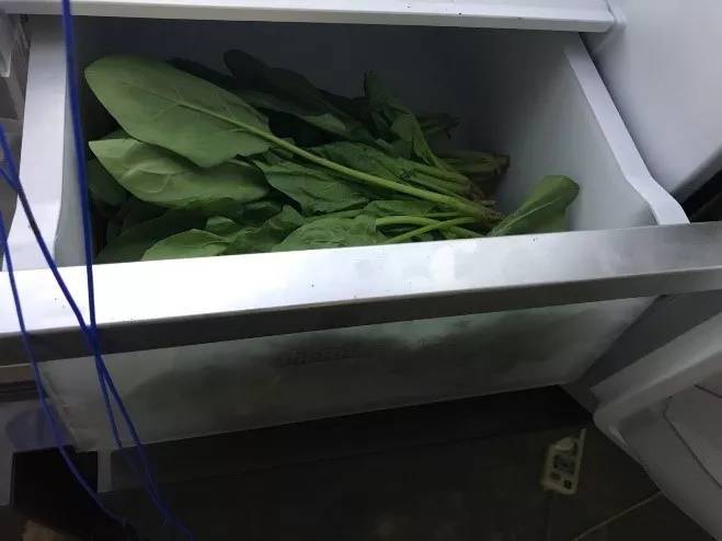 美菱506超薄嵌入式冰箱冻鲜生测评,美菱m鲜生冰箱评测视频