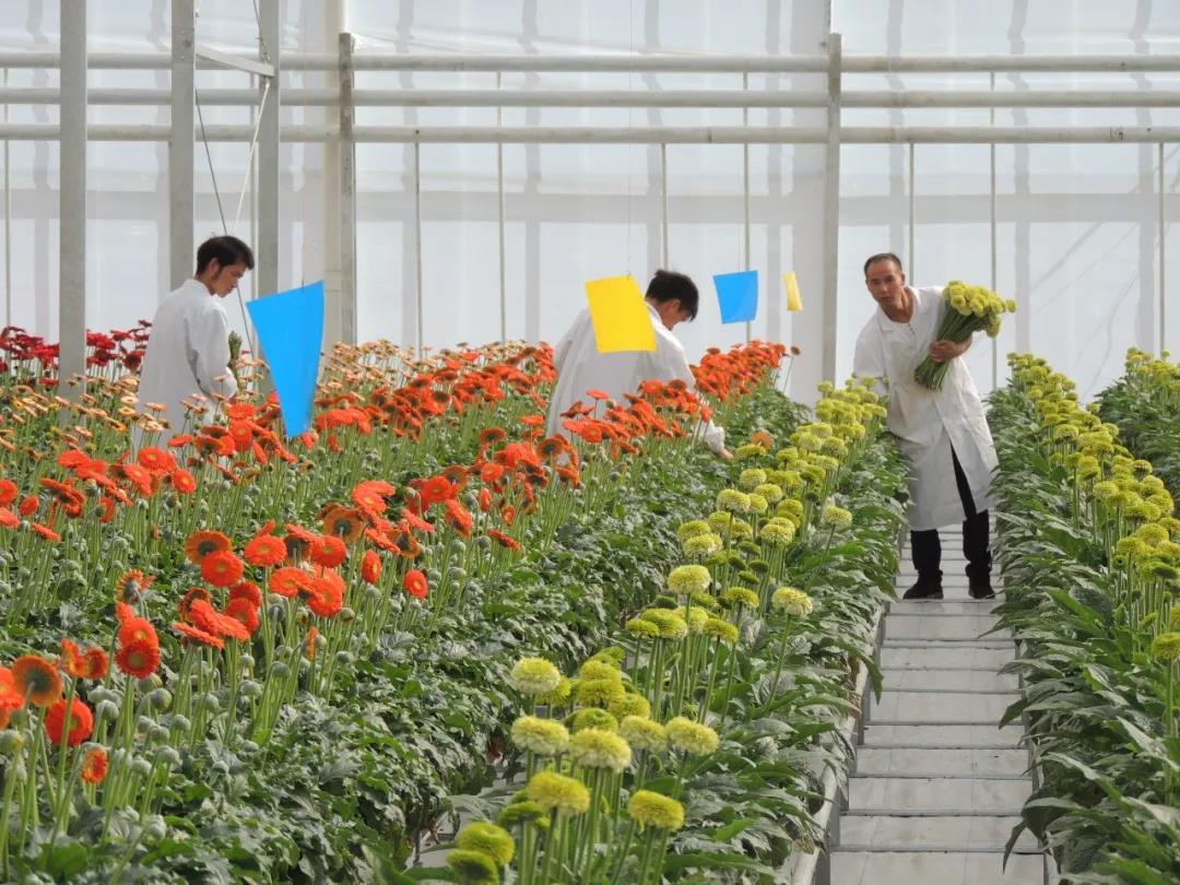 开远是哪个地方,开远市离边境多远