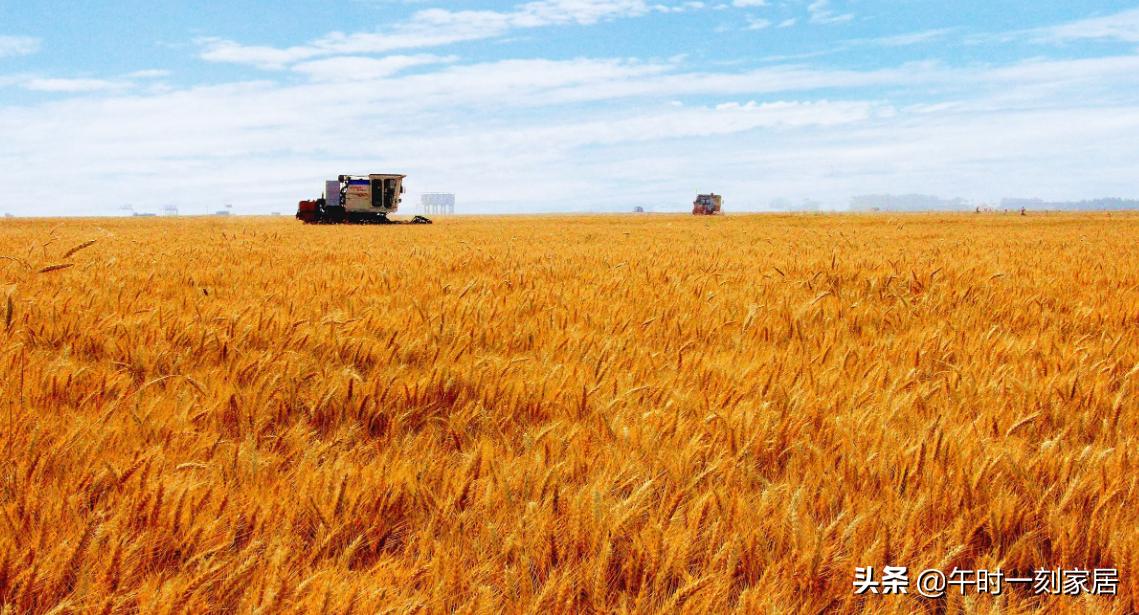 江苏四大穷县连云港灌南县很穷吗,连云港灌云和东海面积